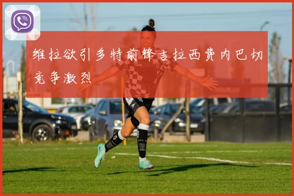 维拉欲引多特前锋吉拉西费内巴切竞争激烈
